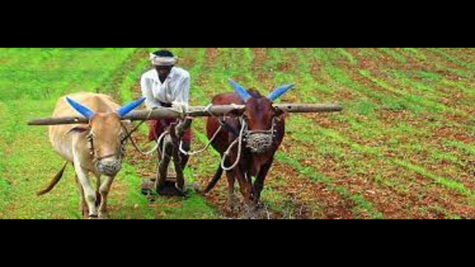 Telangana crop loan waiver scheme